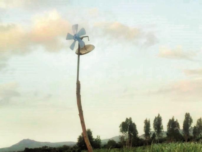 Grassroots Innovator: Farmer's innovative ideas for protecting crops from wild animals | ग्रासरूट इनोव्हेटर : वन्यप्राण्याकडून पिकांच्या संरक्षणासाठी शेतकऱ्याची नाविन्यपूर्ण कल्पना Grassroots Innovator: Farmer's innovative ideas for protecting crops from wild animals | ग्रासरूट इनोव्हेटर : वन्यप्राण्याकडून पिकांच्या संरक्षणासाठी शेतकऱ्याची नाविन्यपूर्ण कल्पना