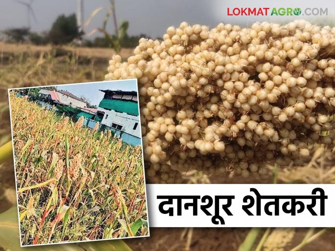 This farmer left an acre of sorghum for the birds eating; Read in detail | पाखरांच्या किलबिलाटासाठी या शेतकऱ्याने सोडली एकरभर ज्वारी; वाचा सविस्तर This farmer left an acre of sorghum for the birds eating; Read in detail | पाखरांच्या किलबिलाटासाठी या शेतकऱ्याने सोडली एकरभर ज्वारी; वाचा सविस्तर