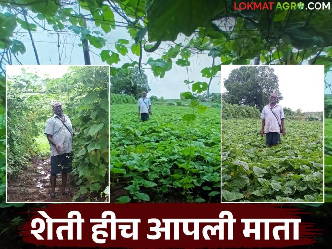 Farmer Success Story: First he did farming on lease; now he has become a guru in agricultural management | Farmer Success Story : आधी भाडेतत्त्वावर केली शेती; आता झाले कृषी व्यवस्थापनातील गुरू Farmer Success Story: First he did farming on lease; now he has become a guru in agricultural management | Farmer Success Story : आधी भाडेतत्त्वावर केली शेती; आता झाले कृषी व्यवस्थापनातील गुरू