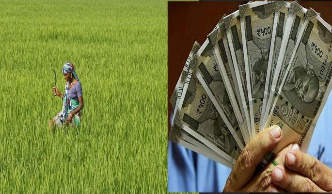 Checks with farmers' lists will be deposited in banks today! | शेतकऱ्यांच्या याद्यांसह धनादेश आज बँकांमध्ये होणार जमा! Checks with farmers' lists will be deposited in banks today! | शेतकऱ्यांच्या याद्यांसह धनादेश आज बँकांमध्ये होणार जमा!