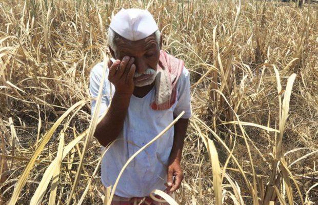 Have we made a mistake by making regular loan payments? Question to the Government | नियमित कर्जफेड करून आमची चूक झाली का? शासनाला केला सवाल