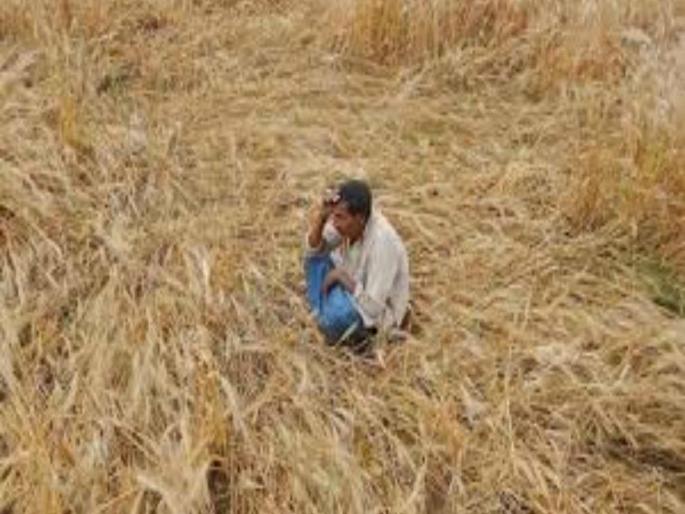 Solapur Insurance amount of Rs 113 crore deposited in the account of one lakh 90 thousand farmers | एक लाख ९० हजार शेतकऱ्यांच्या खात्यावर ११३ कोटी रुपये विमा रक्कम जमा Solapur Insurance amount of Rs 113 crore deposited in the account of one lakh 90 thousand farmers | एक लाख ९० हजार शेतकऱ्यांच्या खात्यावर ११३ कोटी रुपये विमा रक्कम जमा