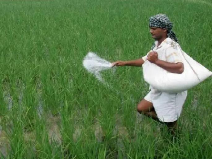 Chemical fertilizer prices increased by 75 percent in nine years; farmers died, sugarcane prices increased by only 22 percent | रासायनिक खतांचे दर नऊ वर्षांत ७५ टक्क्यांनी वाढले; शेतकऱ्यांचे मरण, उसाचा दर केवळ २२ टक्केच वाढला Chemical fertilizer prices increased by 75 percent in nine years; farmers died, sugarcane prices increased by only 22 percent | रासायनिक खतांचे दर नऊ वर्षांत ७५ टक्क्यांनी वाढले; शेतकऱ्यांचे मरण, उसाचा दर केवळ २२ टक्केच वाढला