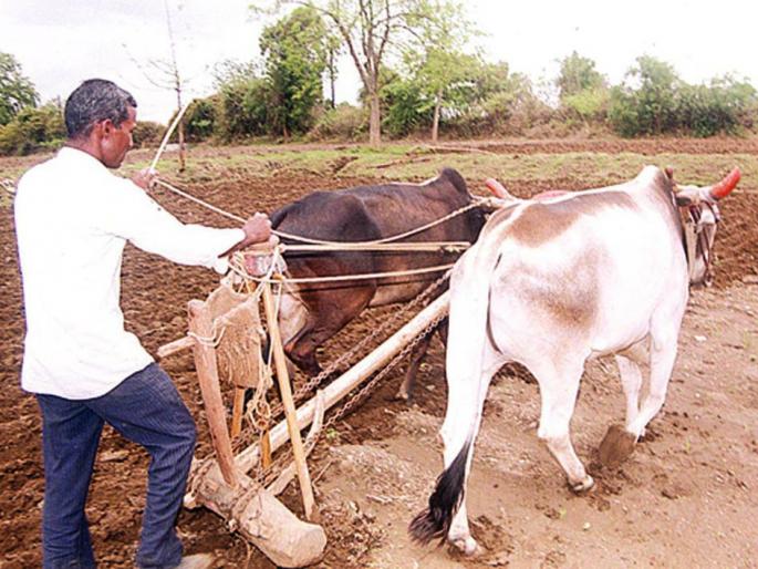 Due to rain pouring sown sowing | पावसाने ओढ दिल्याने पेरण्या खोळंबल्या Due to rain pouring sown sowing | पावसाने ओढ दिल्याने पेरण्या खोळंबल्या