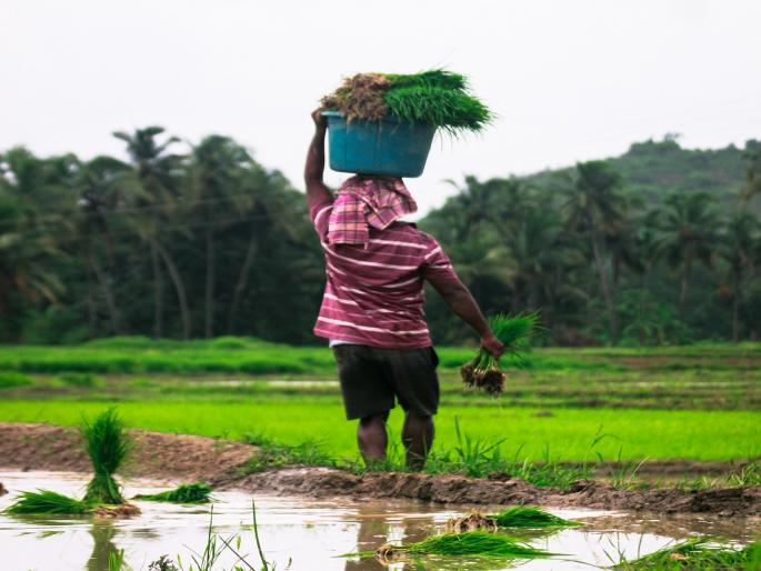 A strong arm of the District Central Bank; The stinginess of private banks | जिल्हा मध्यवर्ती बँकेचा सढळ हात; खासगी बँकांची कंजूषी A strong arm of the District Central Bank; The stinginess of private banks | जिल्हा मध्यवर्ती बँकेचा सढळ हात; खासगी बँकांची कंजूषी