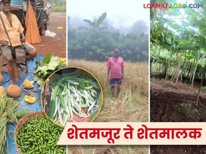 After leaving Mumbai, he took land on lease and farmed near the village; Today the owner of seven acres of land | मुंबईला रामराम करत भाडेतत्त्वावर जमीन घेऊन केली शेती; आज सात एकर जमिनीचा मालक After leaving Mumbai, he took land on lease and farmed near the village; Today the owner of seven acres of land | मुंबईला रामराम करत भाडेतत्त्वावर जमीन घेऊन केली शेती; आज सात एकर जमिनीचा मालक