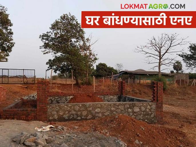 Farmers will be given NA land to build houses in the fields; Tehsildar's give notice | शेतकऱ्यांना शेतात घर बांधण्यासाठी शेतजमीन एनए करून देणार; तहसीलदारांची नोटीस Farmers will be given NA land to build houses in the fields; Tehsildar's give notice | शेतकऱ्यांना शेतात घर बांधण्यासाठी शेतजमीन एनए करून देणार; तहसीलदारांची नोटीस