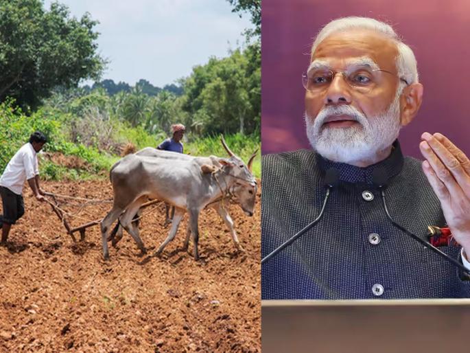 Big New Year gift from the Center to crores of farmers; Important decisions in the very first cabinet by Pm Narendra Modi | करोडो शेतकऱ्यांना केंद्राकडून नवीन वर्षाचे मोठे गिफ्ट; पहिल्याच कॅबिनेटमध्ये महत्वाचे निर्णय Big New Year gift from the Center to crores of farmers; Important decisions in the very first cabinet by Pm Narendra Modi | करोडो शेतकऱ्यांना केंद्राकडून नवीन वर्षाचे मोठे गिफ्ट; पहिल्याच कॅबिनेटमध्ये महत्वाचे निर्णय