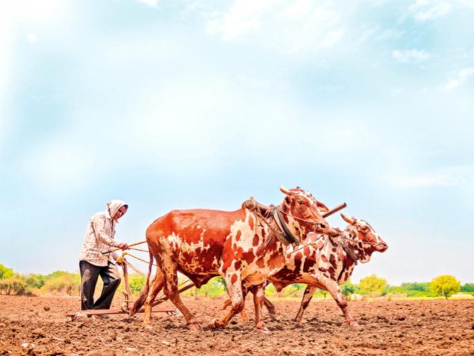 Where is the government in the face of rain? | पावसाच्या तोंडावर सरकार कुठे आहे?