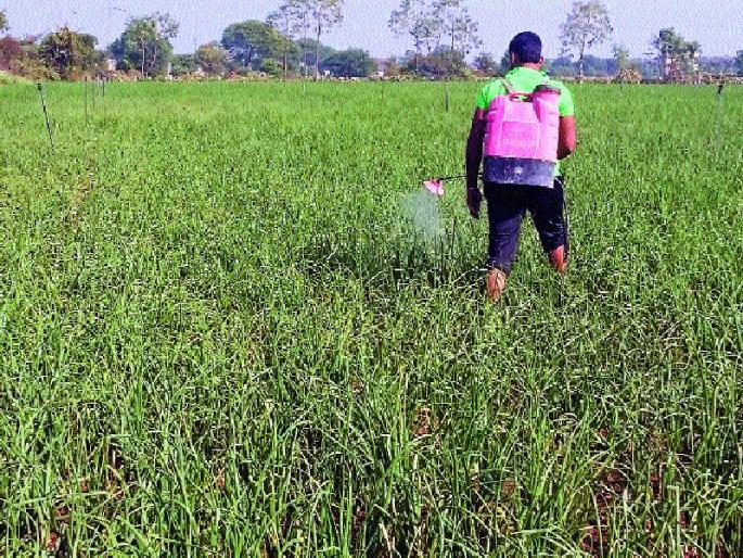 Three days of the night for the farmers! Weightlifting shocks | शेतक-यांना तीन दिवस रात्रपाळी! भारनियमन बदलाचा फटका Three days of the night for the farmers! Weightlifting shocks | शेतक-यांना तीन दिवस रात्रपाळी! भारनियमन बदलाचा फटका