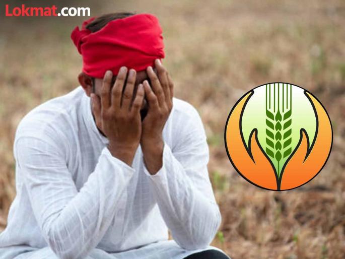 Farmers were duped of lakhs in the name of crop insurance the agent is absconding a sensational incident in Indapur | पीक विम्याच्या नावाखाली शेतकऱ्यांना लाखोंचा गंडा, एजंट फरार, इंदापूरातील खळबळजनक घटना Farmers were duped of lakhs in the name of crop insurance the agent is absconding a sensational incident in Indapur | पीक विम्याच्या नावाखाली शेतकऱ्यांना लाखोंचा गंडा, एजंट फरार, इंदापूरातील खळबळजनक घटना