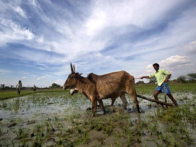 Good news! Monsoon is satisfactory this year; 9 6 percent chance of rains | खूशखबर ! यंदा मान्सून समाधानकारक; ९६ टक्के पावसाची शक्यता Good news! Monsoon is satisfactory this year; 9 6 percent chance of rains | खूशखबर ! यंदा मान्सून समाधानकारक; ९६ टक्के पावसाची शक्यता