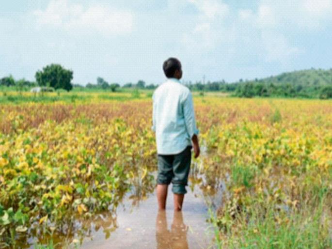 Panchnamas on six lakh hectares completed, Panchnamas of 41 lakh hectares in 29 districts pending; Ten days wait for report | सहा लाख हेक्टरवरील पंचनामे पूर्ण, २९ जिल्ह्यांतील ४१ लाख हेक्टरचे पंचमाने प्रलंबितच; अहवालास दहा दिवसांची प्रतीक्षा