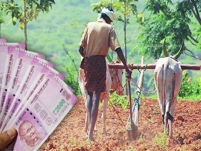 The farmers of Satara district who pay regular crop loans will get a benefit of 900 crores | सातारा जिल्ह्यातील शेतकऱ्यांना ९०० कोटींचा मिळणार लाभ !