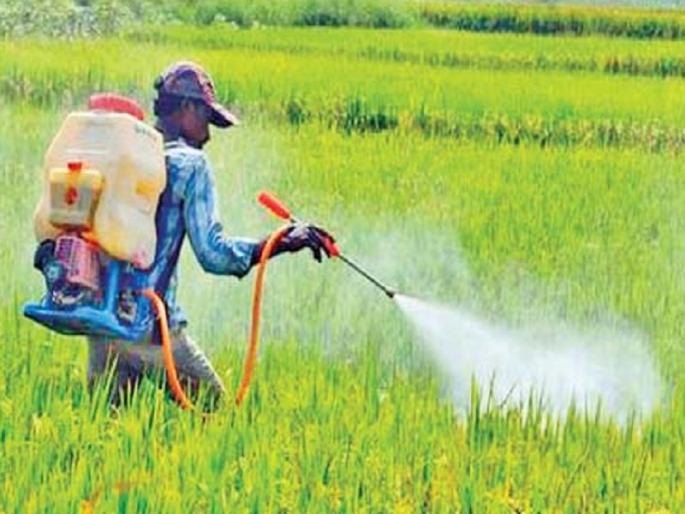 37 farmers in Aurangabad district affected by crop spray; In order to save crops, the risk of farmers alive | पिकांवर फवारणी करताना औरंगाबाद जिल्ह्यात ३७ शेतकऱ्यांना बाधा; पिके वाचविण्यासाठी बळीराजाचा जीव धोक्यात 37 farmers in Aurangabad district affected by crop spray; In order to save crops, the risk of farmers alive | पिकांवर फवारणी करताना औरंगाबाद जिल्ह्यात ३७ शेतकऱ्यांना बाधा; पिके वाचविण्यासाठी बळीराजाचा जीव धोक्यात