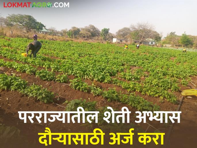out-of-state agricultural study tour; Farmers, have you applied? | राज्याबाहेरील शेतीचा अभ्यास दौरा; शेतकऱ्यांनो, तुम्ही अर्ज केला का?