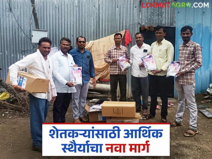 Success Story : Young farmers from Vidarbha are generating turnover of crores through startups, read the story of their success | Success Story: विदर्भातील युवा शेतकरी स्टार्टअपमधून करतात कोटींची उलाढाल वाचा त्यांच्या यशाचे गमक Success Story : Young farmers from Vidarbha are generating turnover of crores through startups, read the story of their success | Success Story: विदर्भातील युवा शेतकरी स्टार्टअपमधून करतात कोटींची उलाढाल वाचा त्यांच्या यशाचे गमक