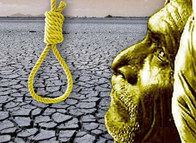 251 farmers suicides in Nagpur region during the year | नागपूर विभागात वर्षभरात शेतकऱ्यांची २५१ आत्महत्या 251 farmers suicides in Nagpur region during the year | नागपूर विभागात वर्षभरात शेतकऱ्यांची २५१ आत्महत्या