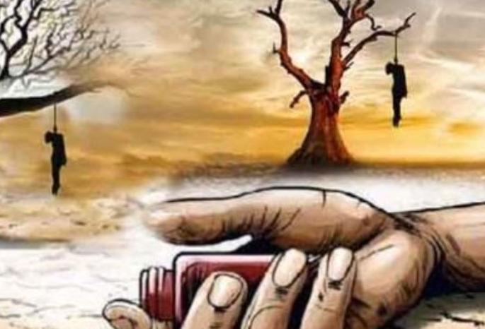 19 cases of farmer suicides eligible for assistance | शेतकरी आत्महत्यांची १९ प्रकरणे मदतीसाठी पात्र 19 cases of farmer suicides eligible for assistance | शेतकरी आत्महत्यांची १९ प्रकरणे मदतीसाठी पात्र