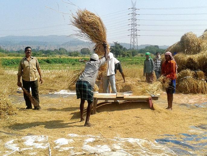 Loan waiver to 3 thousand farmers | २८ हजार शेतकऱ्यांना कर्जमाफी; दोन्ही जिल्ह्यातील शेतकऱ्यांचा समावेश Loan waiver to 3 thousand farmers | २८ हजार शेतकऱ्यांना कर्जमाफी; दोन्ही जिल्ह्यातील शेतकऱ्यांचा समावेश