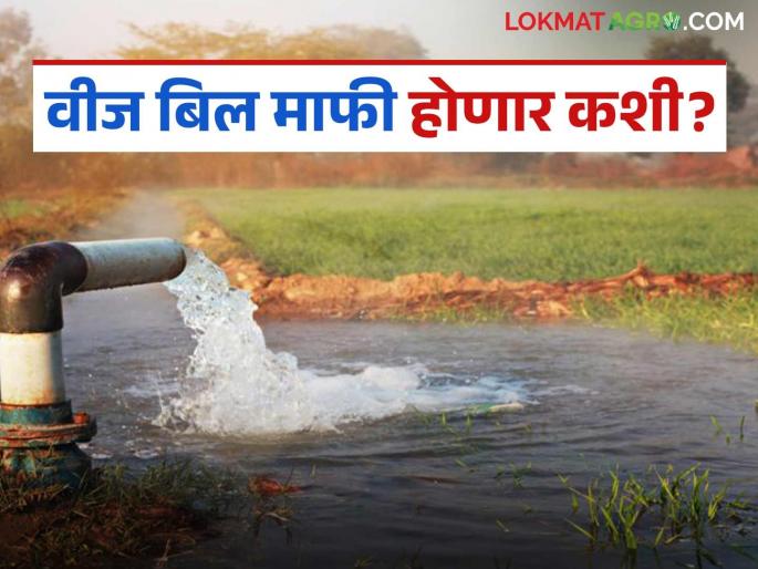Strange management of Mahavitaran; License is for 7.5 HP but bill is for 8 HP, what is the matter? | महावितरणचा अजब कारभार; परवाना साडेसात एचपीचा बिल मात्र आठ एचपीचे, काय आहे प्रकरण?