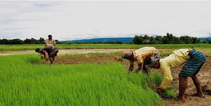 Guidance for farmers under Kisan Kalyan campaign program | किसान कल्यान अभियान कार्यक्रमांतर्गत शेतकऱ्यांना मार्गदर्शन Guidance for farmers under Kisan Kalyan campaign program | किसान कल्यान अभियान कार्यक्रमांतर्गत शेतकऱ्यांना मार्गदर्शन
