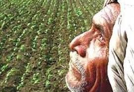 The victim is sitting on the edge of power | सत्तेच्या सारीपाटात बळीराजा बेहाल The victim is sitting on the edge of power | सत्तेच्या सारीपाटात बळीराजा बेहाल