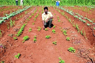 Boycott of agricultural work; Information about Satara Agricultural Staff Association | ‘कृषी’च्या कामांवर बहिष्कार; सातारा कृषी कर्मचारी संघटनांची माहिती Boycott of agricultural work; Information about Satara Agricultural Staff Association | ‘कृषी’च्या कामांवर बहिष्कार; सातारा कृषी कर्मचारी संघटनांची माहिती