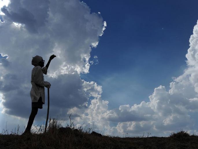 locust attack pantnagar university scientists alert farmers in uttarakhand? | बापरे! कोरोनापाठोपाठ नव्या संकटाचा वैज्ञानिकांचा इशारा, शेतकऱ्यांना सतर्कतेच्या सूचना locust attack pantnagar university scientists alert farmers in uttarakhand? | बापरे! कोरोनापाठोपाठ नव्या संकटाचा वैज्ञानिकांचा इशारा, शेतकऱ्यांना सतर्कतेच्या सूचना