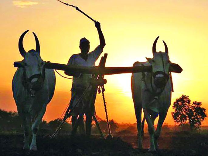 'Green List' Goes Around Verification | पडताळणीभोवतीच फिरतेय ‘ग्रीन लिस्ट’