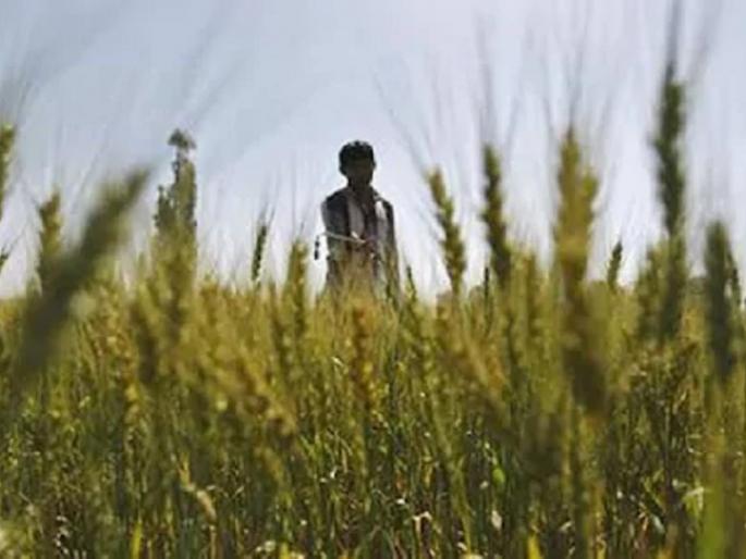 ‘Kisan Sabha App’ now for sale of farm produce; Sale of farm produce at home | शेतमाल विक्रीसाठी आता ‘किसान सभा अ‍ॅप’; घरबसल्या शेतमालाची विक्री