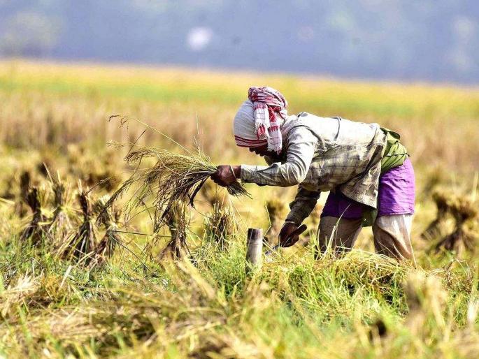 Editorial Fertilizer Shortage in India: Storm roaring over the dam, if not recognized in time... | संपादकीय: बांधावर घोंगावणारे वादळ, वेळीच नाही ओळखले तर... Editorial Fertilizer Shortage in India: Storm roaring over the dam, if not recognized in time... | संपादकीय: बांधावर घोंगावणारे वादळ, वेळीच नाही ओळखले तर...