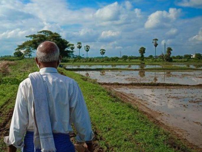 123 crore insurance approved, not even a penny in a year | १२३ कोटींचा विमा मंजूर, वर्षभरात कवडीही नाही 123 crore insurance approved, not even a penny in a year | १२३ कोटींचा विमा मंजूर, वर्षभरात कवडीही नाही