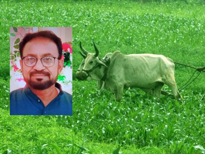 Farmer commits suicide due to debt; Incident in Kesalwada (Wagh) of Bhandara district | कर्जबाजारीपणाला कंटाळून शेतकऱ्याची आत्महत्या; भंडारा जिल्ह्यातील केसलवाडा (वाघ) येथील घटना Farmer commits suicide due to debt; Incident in Kesalwada (Wagh) of Bhandara district | कर्जबाजारीपणाला कंटाळून शेतकऱ्याची आत्महत्या; भंडारा जिल्ह्यातील केसलवाडा (वाघ) येथील घटना