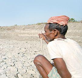Disbursement of bollwish distribution to 80 thousand farmers of the district: | जिल्ह्यातील 80 हजार शेतक:यांना बोंडअळीची नुकसान भरपाईचे वितरण Disbursement of bollwish distribution to 80 thousand farmers of the district: | जिल्ह्यातील 80 हजार शेतक:यांना बोंडअळीची नुकसान भरपाईचे वितरण