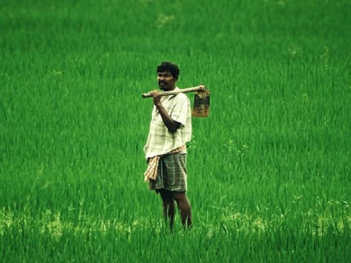 Land ownership will end in brotherhood; A mistake made 50 years ago will be corrected | जमीन मालकीवरून भाऊबंदकी संपणार; ५० वर्षांपूर्वी केलेली चूक होणार दुरुस्त Land ownership will end in brotherhood; A mistake made 50 years ago will be corrected | जमीन मालकीवरून भाऊबंदकी संपणार; ५० वर्षांपूर्वी केलेली चूक होणार दुरुस्त