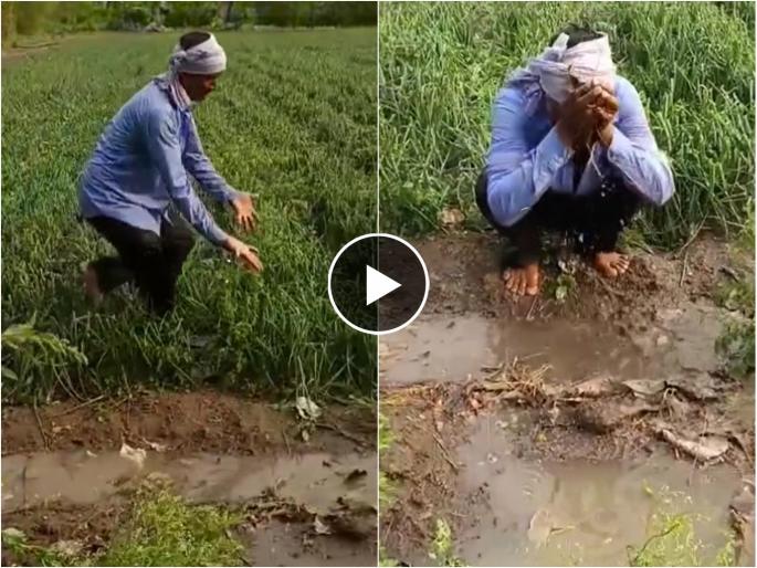 due to unseasonal rains farmers getting crying as their crops are submerged in water video goes viral on social media | अवकाळीने हिरावला तोंडचा घास; मातीमोल झालेलं पीक पाहून शेतकऱ्याला अश्रू अनावर, Video पाहा due to unseasonal rains farmers getting crying as their crops are submerged in water video goes viral on social media | अवकाळीने हिरावला तोंडचा घास; मातीमोल झालेलं पीक पाहून शेतकऱ्याला अश्रू अनावर, Video पाहा