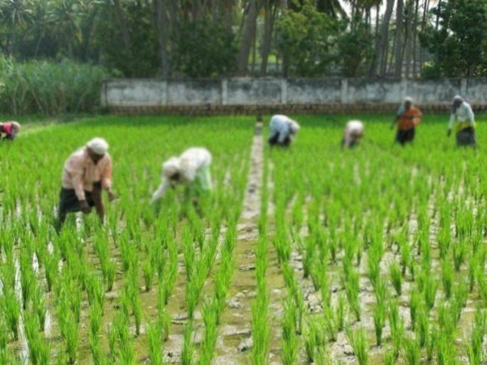 Who is lazy? The government or the struggling poor? | आळशी कोण? - सरकार की धडपडणारे गरीब? Who is lazy? The government or the struggling poor? | आळशी कोण? - सरकार की धडपडणारे गरीब?