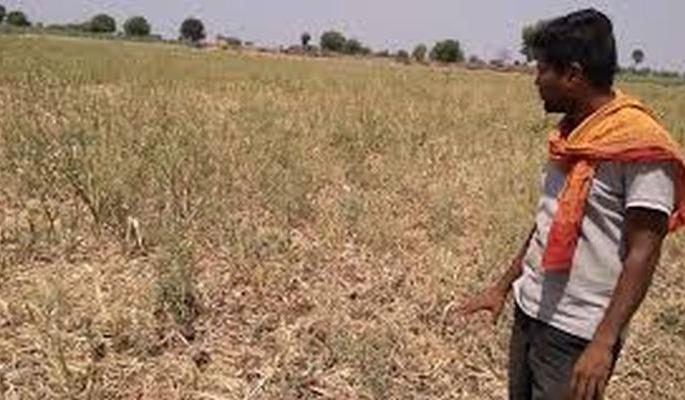 Waiting for help of 41 thousand farmers in Balapur taluka | बाळापूर तालुक्यातील ४१ हजार ५३३ शेतकऱ्यांना मदतीची प्रतीक्षा Waiting for help of 41 thousand farmers in Balapur taluka | बाळापूर तालुक्यातील ४१ हजार ५३३ शेतकऱ्यांना मदतीची प्रतीक्षा