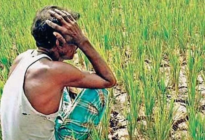 83% farmers waiting for help | ८३ टक्के शेतकऱ्यांना मदतीची प्रतीक्षा