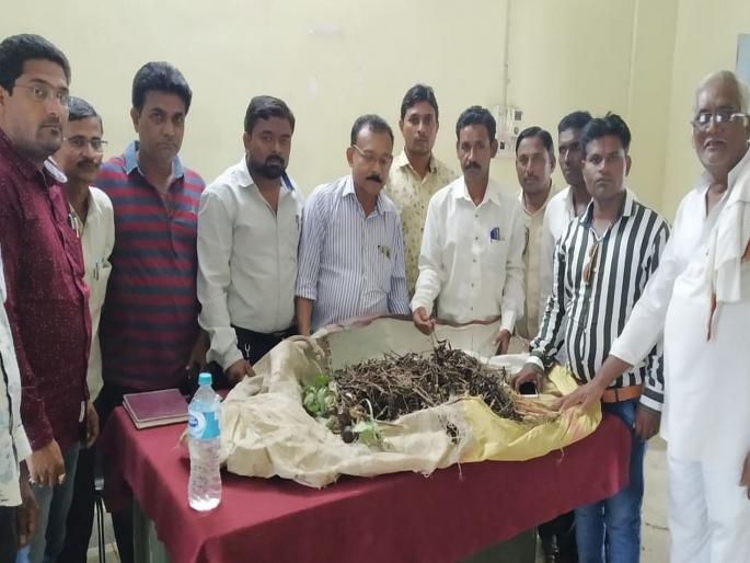 The farmers of Kosadani were taken to the tehsil office with soybeans and cotton | कोसदनीचे शेतकरी सोयाबीन, कापूस घेऊन धडकले तहसील कार्यालयात The farmers of Kosadani were taken to the tehsil office with soybeans and cotton | कोसदनीचे शेतकरी सोयाबीन, कापूस घेऊन धडकले तहसील कार्यालयात