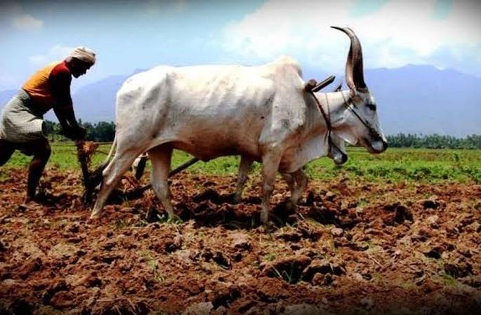Another 36.79 crore to help farmers! | शेतकऱ्यांच्या मदतीसाठी आणखी ३६.७९ कोटी! Another 36.79 crore to help farmers! | शेतकऱ्यांच्या मदतीसाठी आणखी ३६.७९ कोटी!