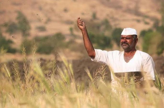 139.99 crore aid distributed to 1.79 lakh farmers! | वाशिम : १.७९ लाख शेतकऱ्यांना १३९.९९ कोटींची मदत वितरित! 139.99 crore aid distributed to 1.79 lakh farmers! | वाशिम : १.७९ लाख शेतकऱ्यांना १३९.९९ कोटींची मदत वितरित!