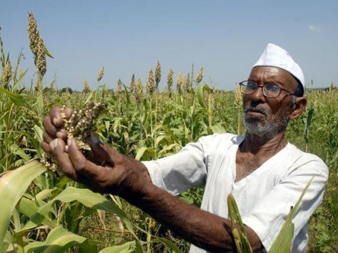 Farmers not get help in the chaos of government formation | सरकार बनविण्याच्या लगबगीत शेतकऱ्यांच्या मदतीचा पेच!