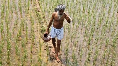 'Agriculture is unaffordable, allow to sell liquor' Strange demand of farmers in Bhandara district | 'शेती परवडत नाही, दारु विकू द्या' भंडारा जिल्ह्यातील शेतकऱ्याची अजब मागणी 'Agriculture is unaffordable, allow to sell liquor' Strange demand of farmers in Bhandara district | 'शेती परवडत नाही, दारु विकू द्या' भंडारा जिल्ह्यातील शेतकऱ्याची अजब मागणी