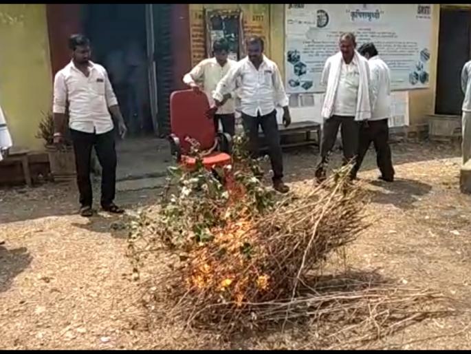 Farmers burnt the cotton plants in the Malegaon Tahsil office premises | शेतकऱ्यांनी मालेगाव तहसिल कार्यालय परिसरात कपाशीची झाडे जाळून केला निषेध Farmers burnt the cotton plants in the Malegaon Tahsil office premises | शेतकऱ्यांनी मालेगाव तहसिल कार्यालय परिसरात कपाशीची झाडे जाळून केला निषेध