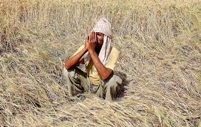 The Home Minister assures the Governor of sending a Union Squad to look after the rains | पीकहानीचा आढावा घेण्यासाठी केंद्रीय पथक पाठविण्याचे गृहमंत्र्यांचे राज्यपालांना आश्वासन The Home Minister assures the Governor of sending a Union Squad to look after the rains | पीकहानीचा आढावा घेण्यासाठी केंद्रीय पथक पाठविण्याचे गृहमंत्र्यांचे राज्यपालांना आश्वासन