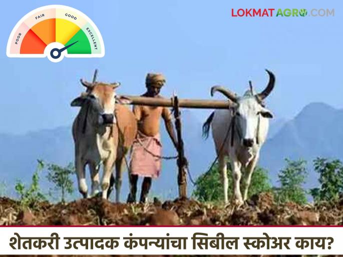 CIBIL Score: What is the CIBIL score of farmer producer companies? Projects are half-finished due to 'this' reason Read in detail | CIBIL Score : शेतकरी उत्पादक कंपन्यांचा सिबील स्कोअर किती? 'या' कारणामुळे प्रकल्प अर्ध्यावर वाचा सविस्तर CIBIL Score: What is the CIBIL score of farmer producer companies? Projects are half-finished due to 'this' reason Read in detail | CIBIL Score : शेतकरी उत्पादक कंपन्यांचा सिबील स्कोअर किती? 'या' कारणामुळे प्रकल्प अर्ध्यावर वाचा सविस्तर