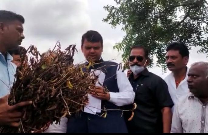 Farmers complained that the insurance company demanded money for the panchnama | पंचनामे करण्यासाठी इन्शुरन्स कंपनीवाले पैसे मागतात; शेतकऱ्यांनी मांडली व्यथा Farmers complained that the insurance company demanded money for the panchnama | पंचनामे करण्यासाठी इन्शुरन्स कंपनीवाले पैसे मागतात; शेतकऱ्यांनी मांडली व्यथा