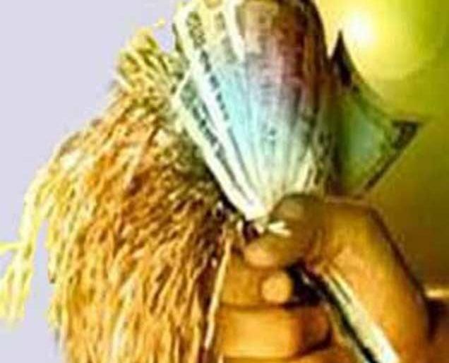 farmers Waiting for to allot crop loans | शेतकऱ्यांना पीककर्ज वाटपाची प्रतीक्षा